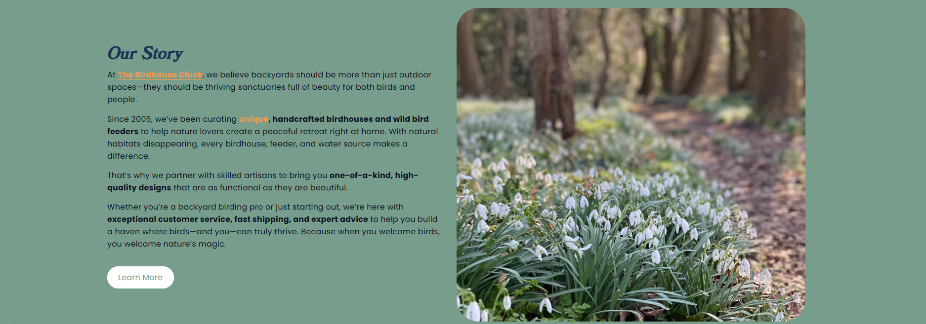 The Birdhouse Chick -The Birdhouse Chick 1