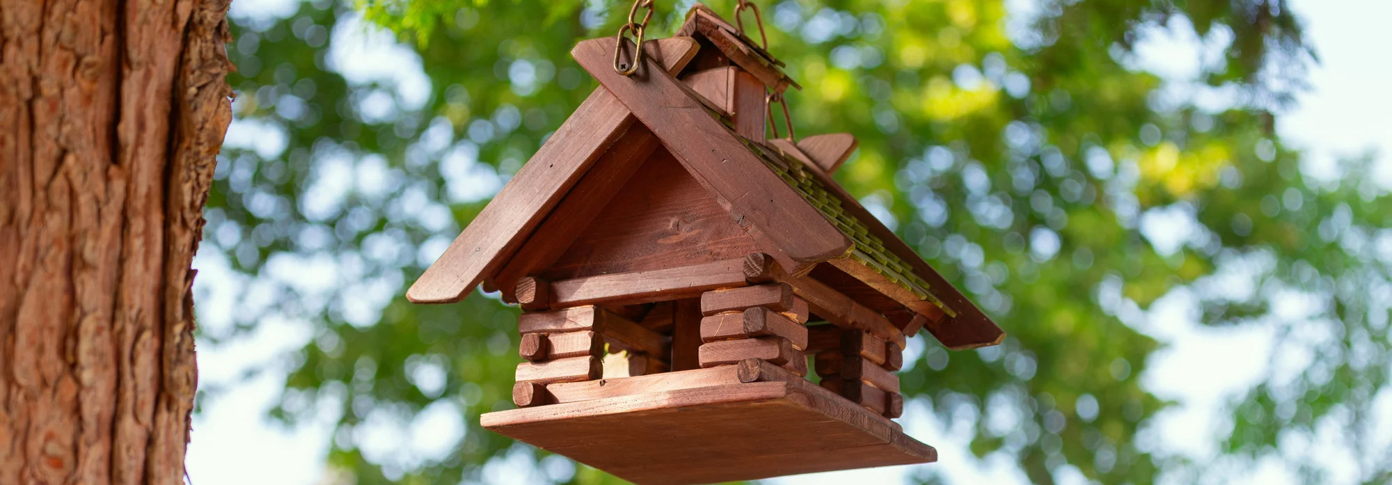 The Birdhouse Chick -The Birdhouse Chick 2