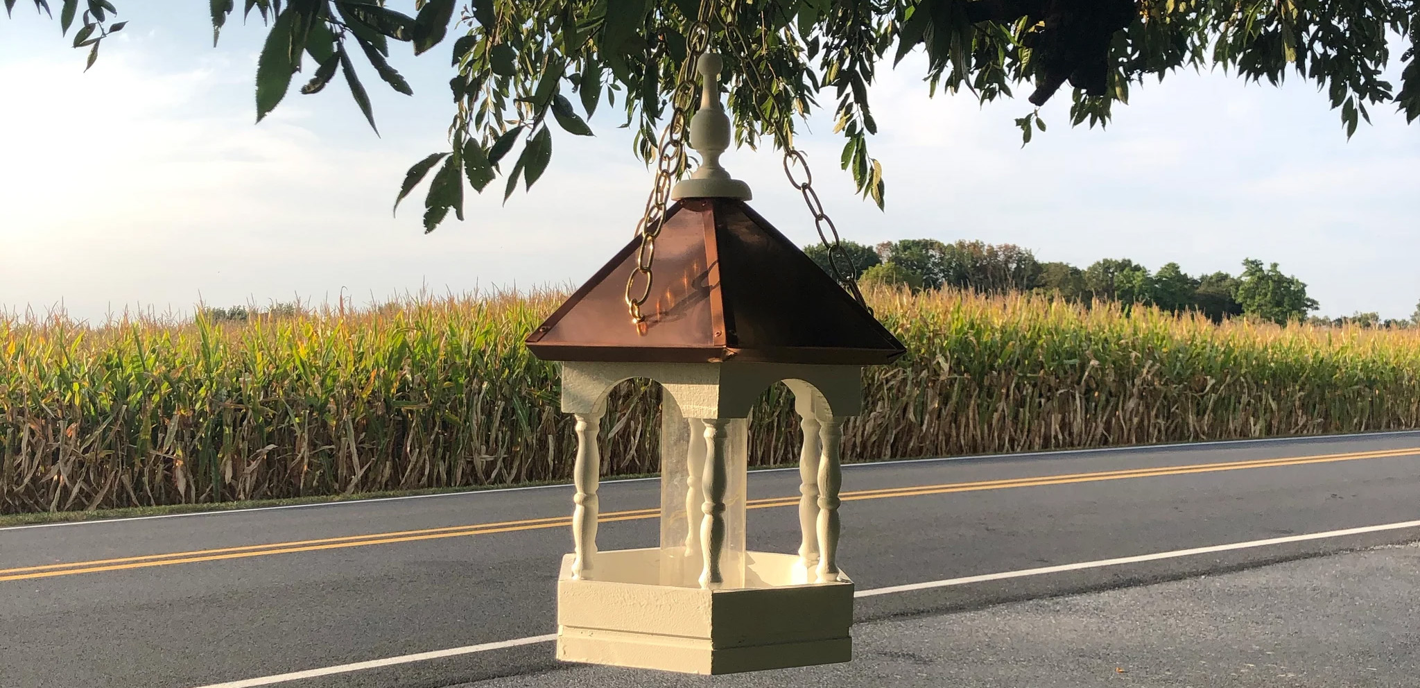 The Birdhouse Chick -The Birdhouse Chick 3