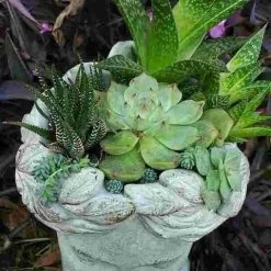 Aphrodite Lady Head Planter -The Birdhouse Chick Aphrodite Head Planter Top View