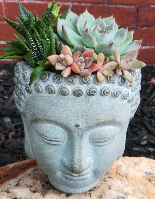 Buddha Head Planter 4 Buddha Head Planter - Image 2