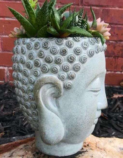 Buddha Head Planter 5 Buddha Head Planter - Image 3