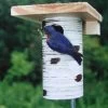 Gilbertson Nest Box - NABS Approved -The Birdhouse Chick GILBERTSON 92558003 474a 4819 8b0d f12a17466274