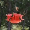 Humm-Bug Protein Hummingbird Feeder -The Birdhouse Chick Hum Bug Protein Hummingbird Feeder