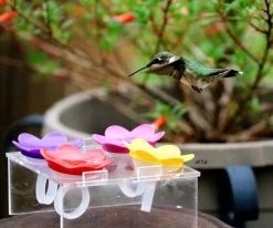 Hummer Ring Kit -The Birdhouse Chick Hummer Ring Training Stand 0558d8e9 635f 4722 a384 e492227bd702