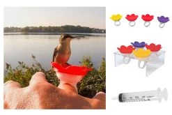 Hummer Ring Kit -The Birdhouse Chick Hummer Ring kit