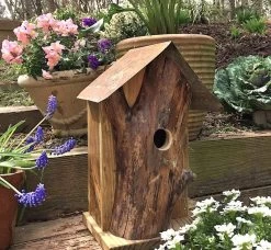 Rustic Log Front Birdhouses- 2 Sizes -The Birdhouse Chick Log Front Birdhouse 3