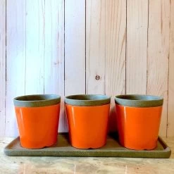 Poppy Triple Herb Planters- Detached Tray