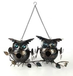 Two Owls On Branch Birdhouse