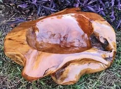 Decorative Teak Wood Bowls -The Birdhouse Chick Teak Bowl H