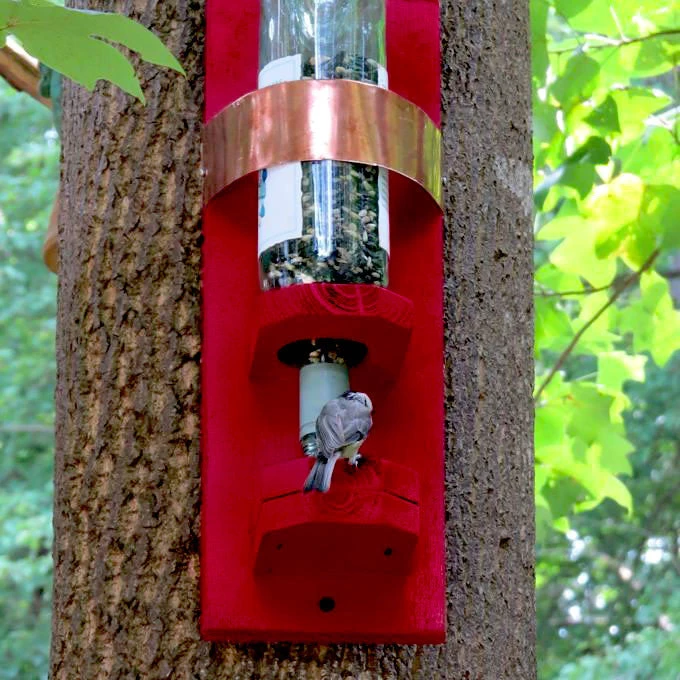 Bottle Bird Feeder 3 Bottle Bird Feeder
