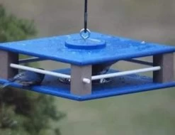 Gilbertson Hanging Bluebird Feeder -The Birdhouse Chick hanging bluebird feeder