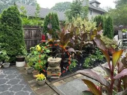 The Birdhouse Chick -The Birdhouse Chick splash pool bubbler customer pic