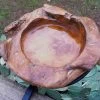 Teak Bird Bath, Deck-Mount Or Ground 2 Sizes -The Birdhouse Chick teak bath deck d7585ab4 0ae7 45fe bac7 ee21bd5618a8